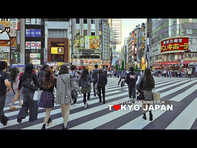 TOKYO JAPAN, Walk in Shinjuku and Yoyogi, Japan, Travel, 4K