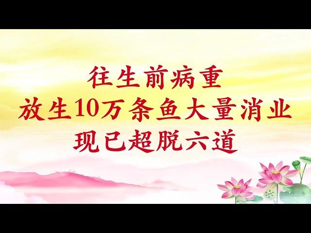 卢台长【节目录音】往生前病重，放生10万条鱼大量消业