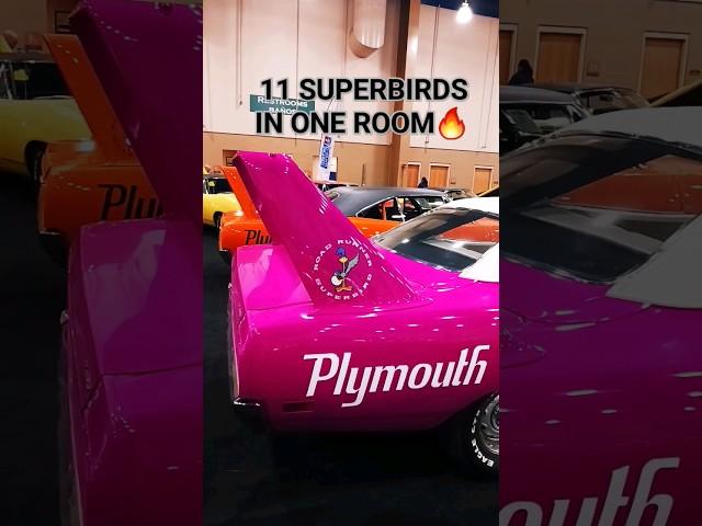 First car made to hit 200mph - Fly Baby! Superbird!