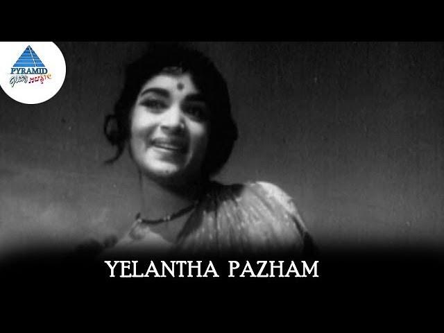 Yelantha Pazham Video Song | Panama Pasama Songs | Gemini Ganesan | Saroja Devi |Pyramid Glitz Music