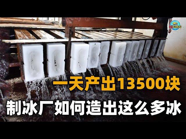 How does an ice factory make ice? The daily output is 600 tons and the daily income is 270,000 yuan!