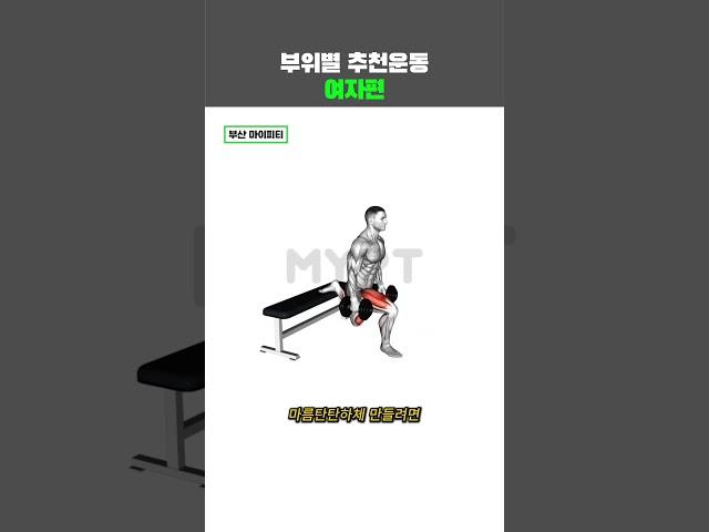 트레이너가 추천하는 여자 부위별 추천운동