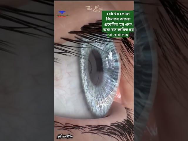 #science #Biology#eye and its gland # The human eye animation