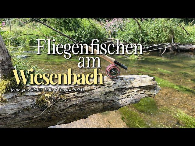 Fliegenfischen am Wiesenbach