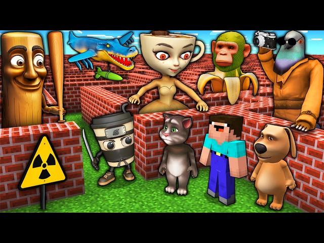SURVIVAL MAZE of SPIONIRO GOLUBIRO vs TUNG TUNG SAHUR vs BALLERINA CAPPUCCINA in MINECRAFT animation