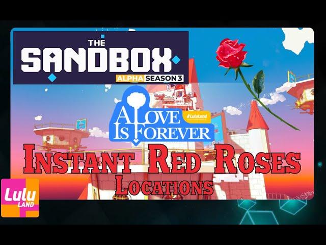 The Sandbox : Lulu Land | Instant 40 Red Roses