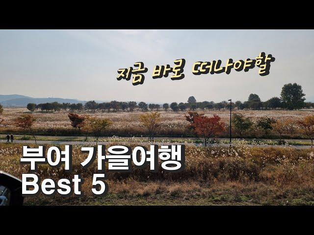 가을여행지 추천 부여여행 Best5/1박2일 갬성여행코스