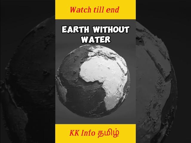 What if ? | KK Info Tamil | #youtubeshorts #facts