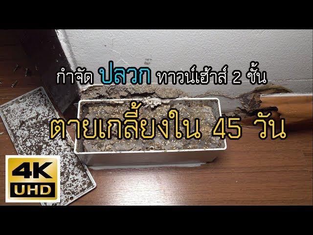 กำจัดปลวกทาวน์เฮ้าส์ 2 ชั้น ติดตั้งสถานี 2 จุด