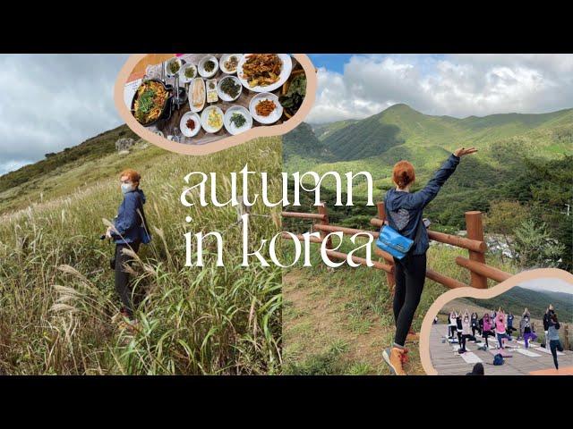 autumn in korea  hiking in ulsan, making makgeolli, mountain top yoga, my life in korea VLOG