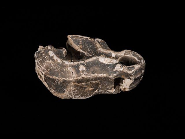 Stunning discovery: Roman oil lamp found in Virginia