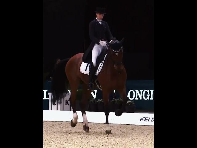 This horse takes my breath away!#shorts