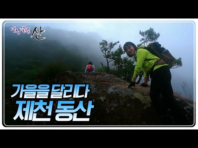 이름이 동산이라고 만만하게 봤다가는 큰일납니다 '제천 동산' [영상앨범 산] | KBS 20241006 방송