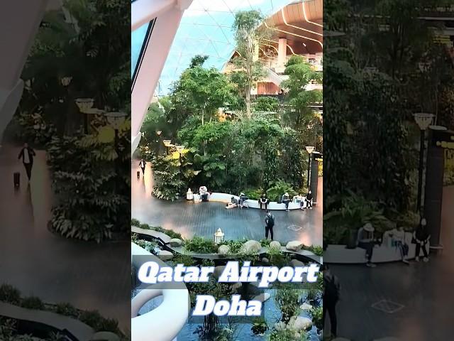 Doha Qatar International Airport  #doha #qatar #airport