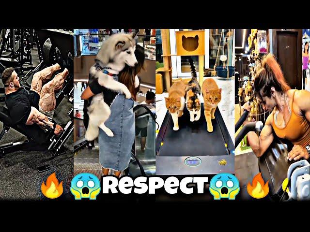 Respect Force  | Latest Amazing Respect 