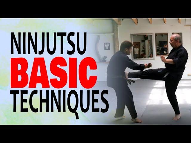 NINJUTSU BASIC TECHNIQUES