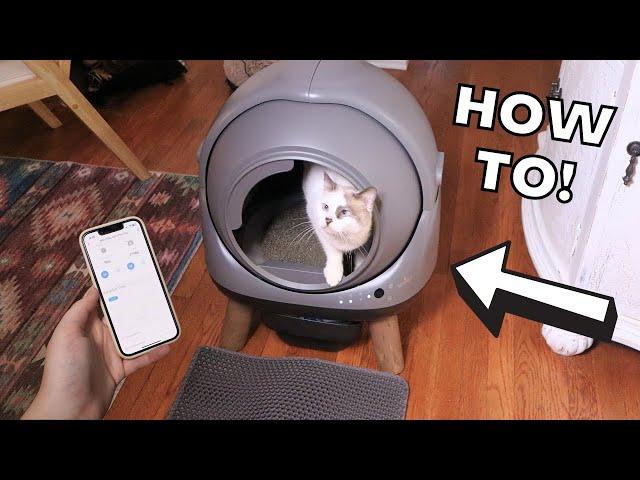 ZHMZ G1 Automatic Cat Litter Box (Review + Demo!)