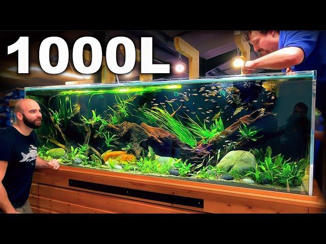 HUGE School Of Fish Added: 1000L 8ft South East Asian Aquarium [FINALE]