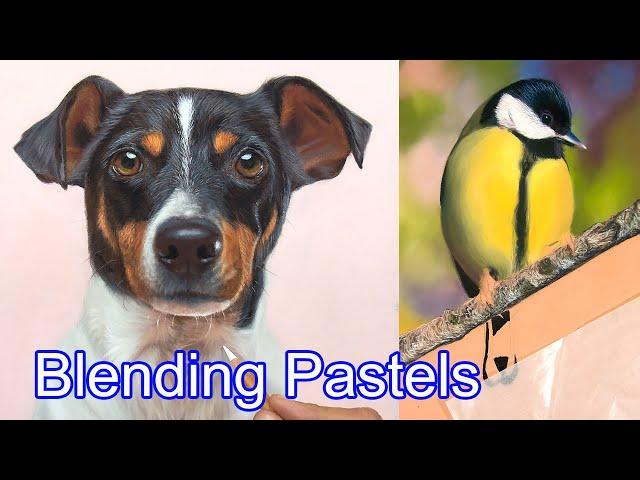 Most Important Tips for Blending Pastel Pencil / PanPastel