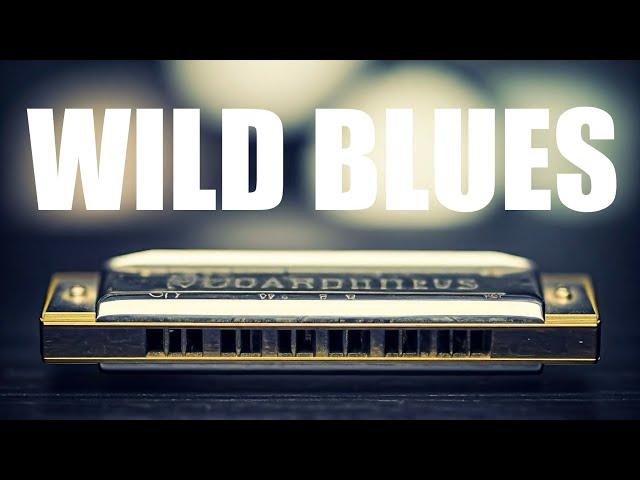 Wild Harmonica Blues | Instrumental BGM Music