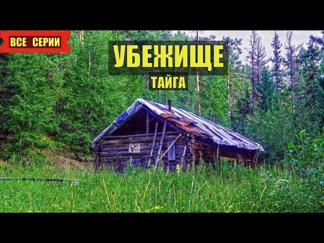 УБЕЖИЩЕ ОТШЕЛЬНИКА в ТАЙГЕ ВСЕ СЕРИИ АУДИОКНИГА ИЗБА ЛЕСНИКА РАССКАЗЫ ИСТОРИИ из ЖИЗНИ в ЛЕСУ