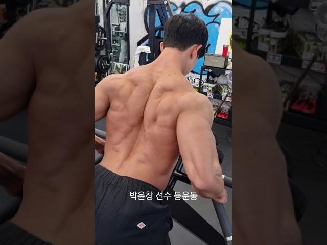 홈짐 등운동 넓게 만드는법 티바로우