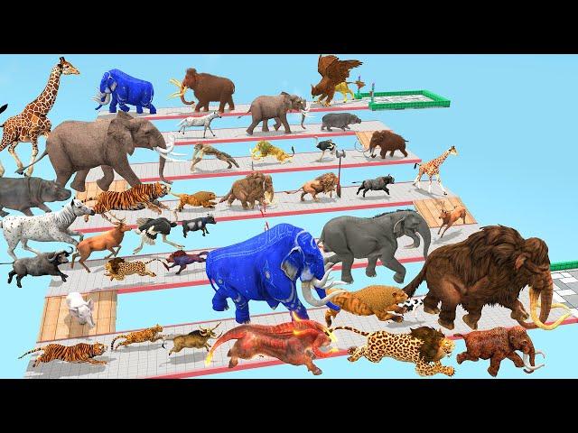 Which Animal vs Prehistoric Mammals Speed Race Run Zigzag Down Course! from Outside Animal Revolt