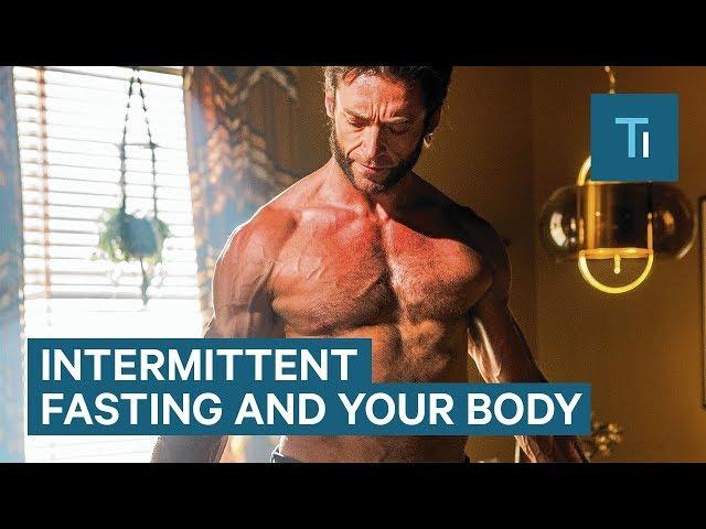 How Intermittent Fasting Affects Your Body and Brain | The Human Body