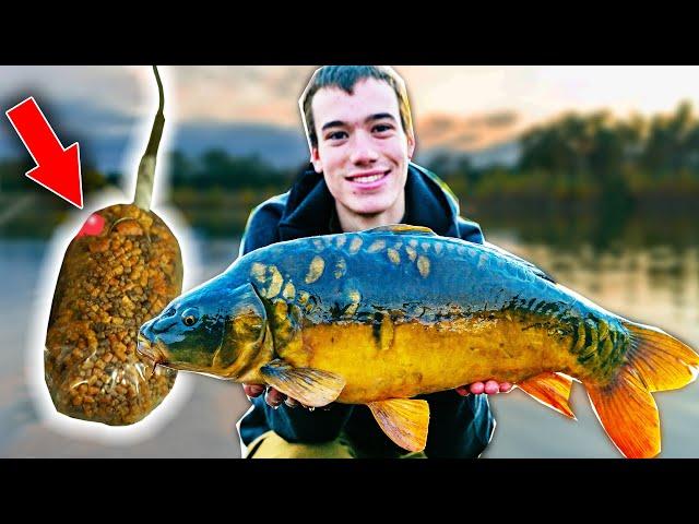 Carp Fishing with Solid PVA Bags - Tips and tricks to catch more fish!