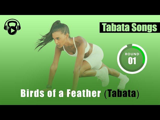 Tabata Songs - "Birds of a Feather (Tabata)" w/ Tabata Timer