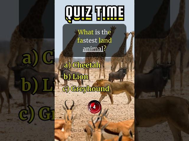 What is the fastest land animal? #quizwhizchannel