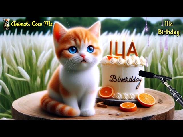 ILLA HAPPY BIRTHDAY SONG WITH NAMES | Adorable Cute Cat 