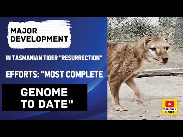 Major development in Tasmanian tiger "resurrection" efforts: "Most complete genome to date"