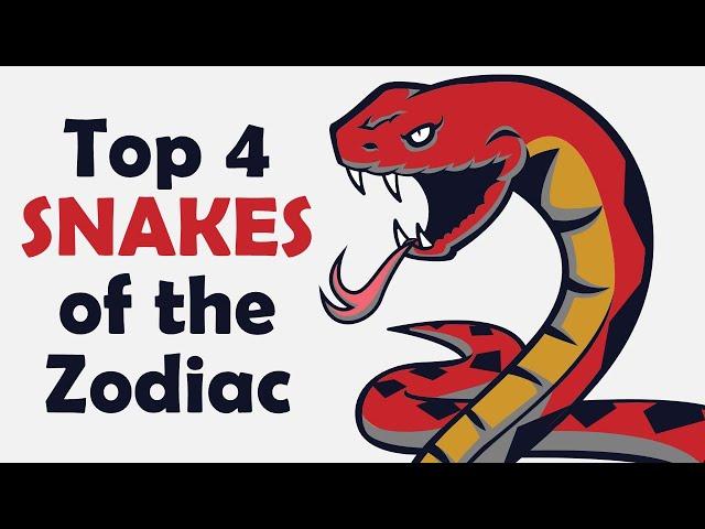 Top 4 Snakes of the Zodiac