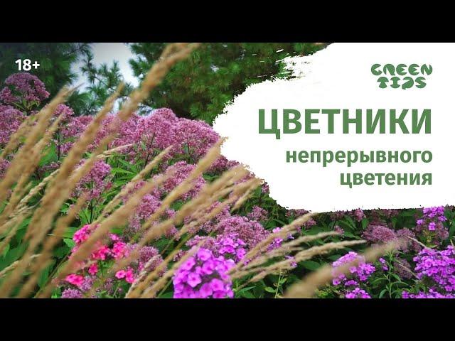 Миксбордер из многолетников. Цветники Константиновой Елены