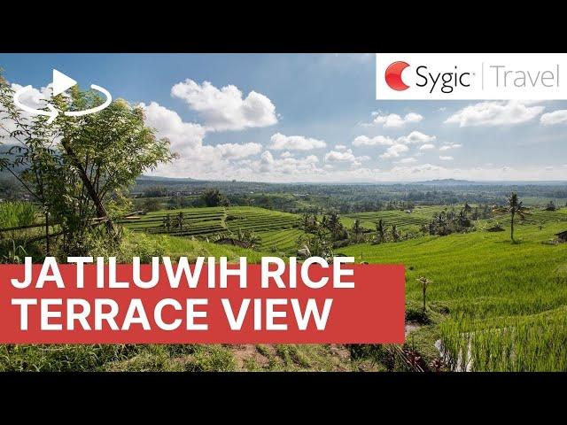 360 video: Rice Fields in Jatiluwih, Bali, Indonesia