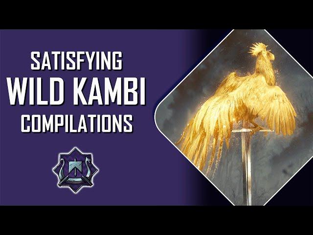 Gwent | Satisfying Wild Kambi Finishing Compilations!