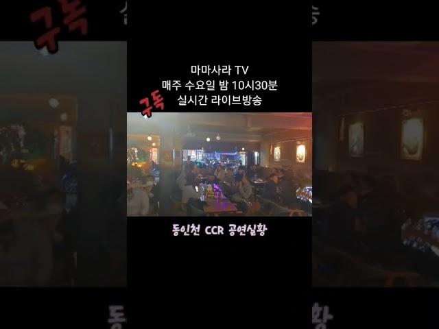 마마사라 라이브 공연 #라이브 #통기타 #7080 #CCR #신포동 #한채윤 #shorts