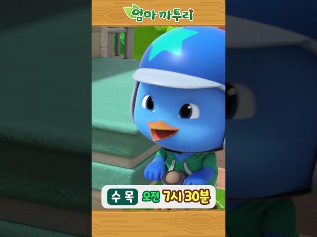 [엄마까투리6] 수목 오전 7시 30분 #엄마까투리 #까투리 #katuri