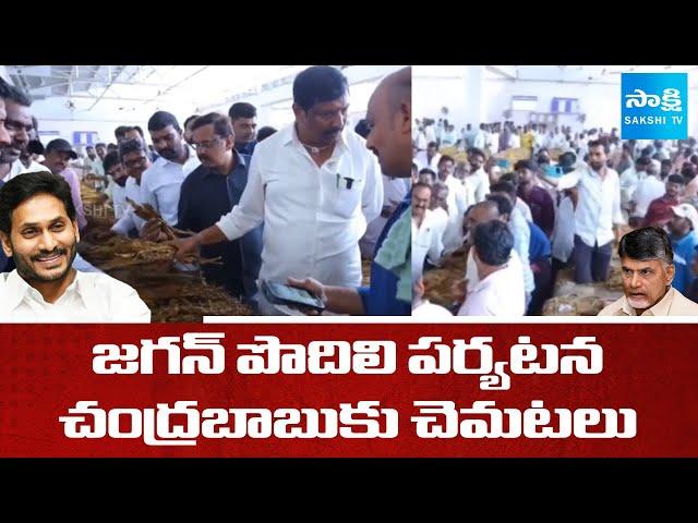 YS Jagan Podili Tour Tension In CM Chandrababu and Leaders | Tobacco Prucurement |@SakshiTV