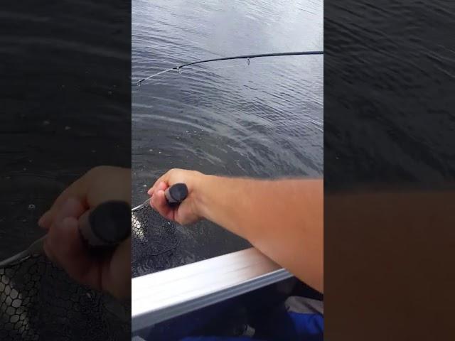 Lake Conroe's Jimmy's Gone Fishing Guide Service - September 27, 2017