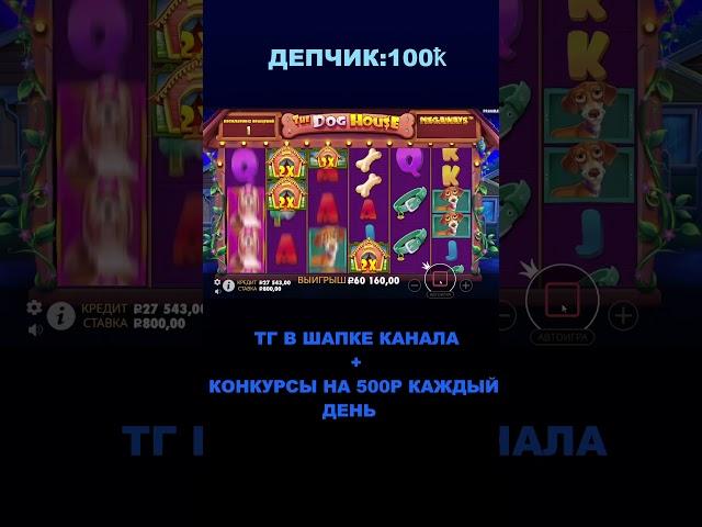 КУПИЛ БОНУС В СОБАКАХ И СЛОВИЛ ЗАНОС!!  #casino #заносынедели  #bigwin #онлайнказино #gatesofolympus