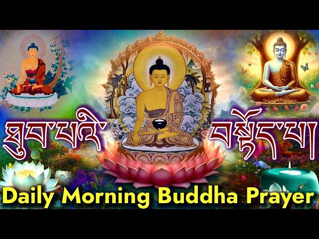 ️Daily Morming Buddha Prayer(ཐུབ་པའི་བསྟོད་པ)Tibetan Prayer-Monks Chanting(Twelve Praises of Buddha