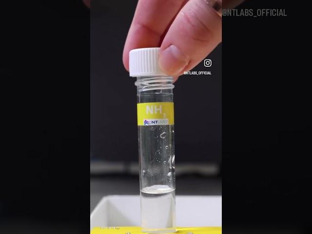 Our Aquarium Lab Multi-Test Kit Part 1 #shorts #fishkeeping #ntlabs #aquascape #watertest #ammonia