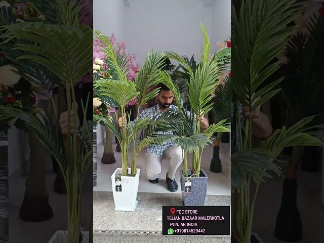 Beautiful natural look plant #fgcstore #shorts #plants