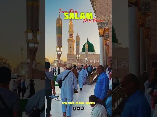 Owais Qadri #naat #islamicstatus #islamicvideo #islamicshorts #islamicquotes #islamic #bayan #love