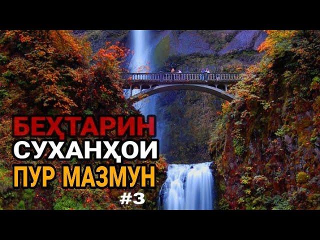 Суханҳои пур мазмун ва суханҳои тарбияви #3