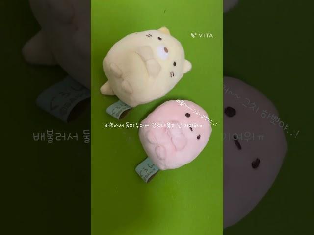 서비스 짧은영상#인형계 ##헿휘핑님음원