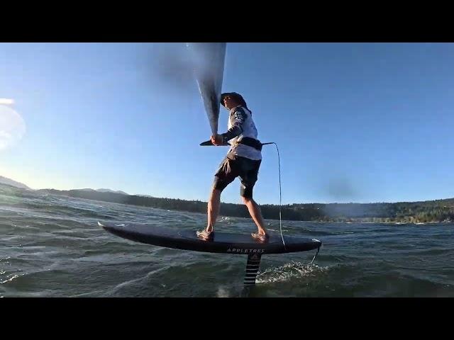 Review: Appletree Skipper Downwind SUP Foil Board