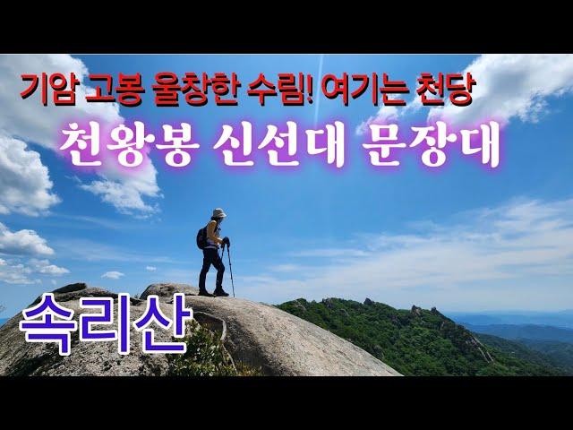 속리산/기암 고봉과 울창한 수림! 여기는 천당/소형주차장 세심정갈림길 천왕봉 신선대 문장대 법주사 원점회귀 18.8km